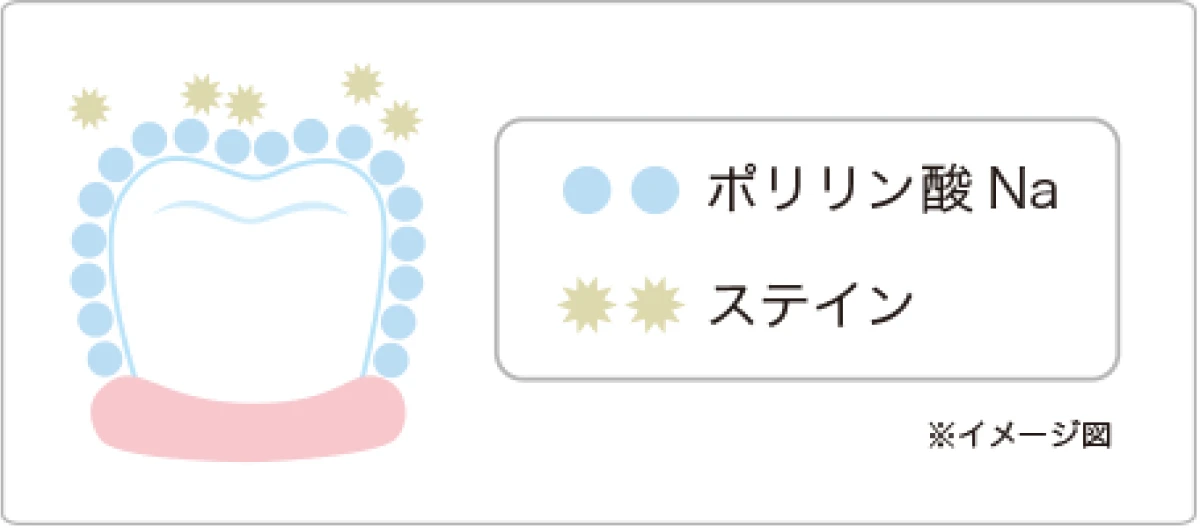 ポリリン酸Naの様々な働き