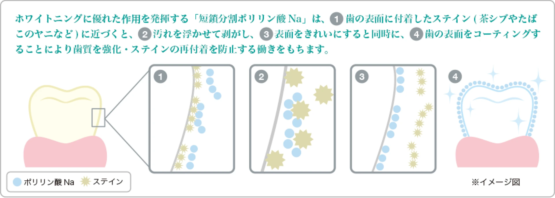 ポリリン酸Naを使ったホワイトニング
